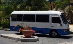 Mandevile airport transfer bus