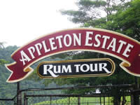 Appleton Estate Tour