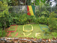 Bob Marley Mausoleum Tour