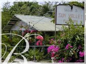 Sun Valley Plantation Tours & Trails