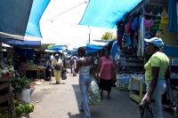 Musgrave Market
