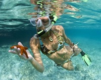 Snorkeling at the Reef