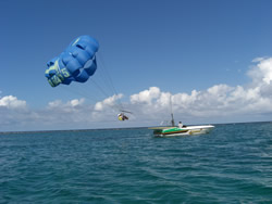 Para Sailing 1