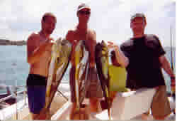 Fish Landed on Negril Deep Sea Fishing Boat