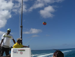 Para Sailing 1