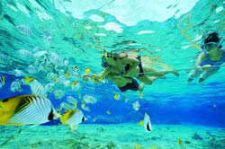 Jamaica Snorkeling