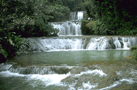 Mayfield Falls and Mineral Spring