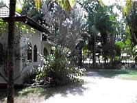 Cozy Villa Negril
