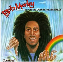Bob Marley: Return to Dunn's River Falls