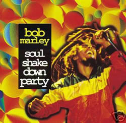 Bob Marley: Soul Shakedown