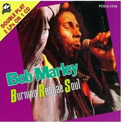 Bob Marley: The Burning Reggae Soul