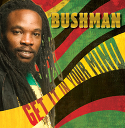 Bushman: Get It in Your Mind