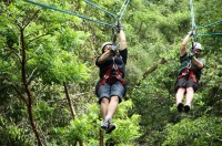 Zipline Canopy Rides