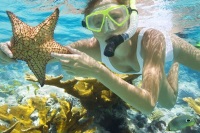 Reef Snorkeling