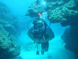 Male Scuba Diver